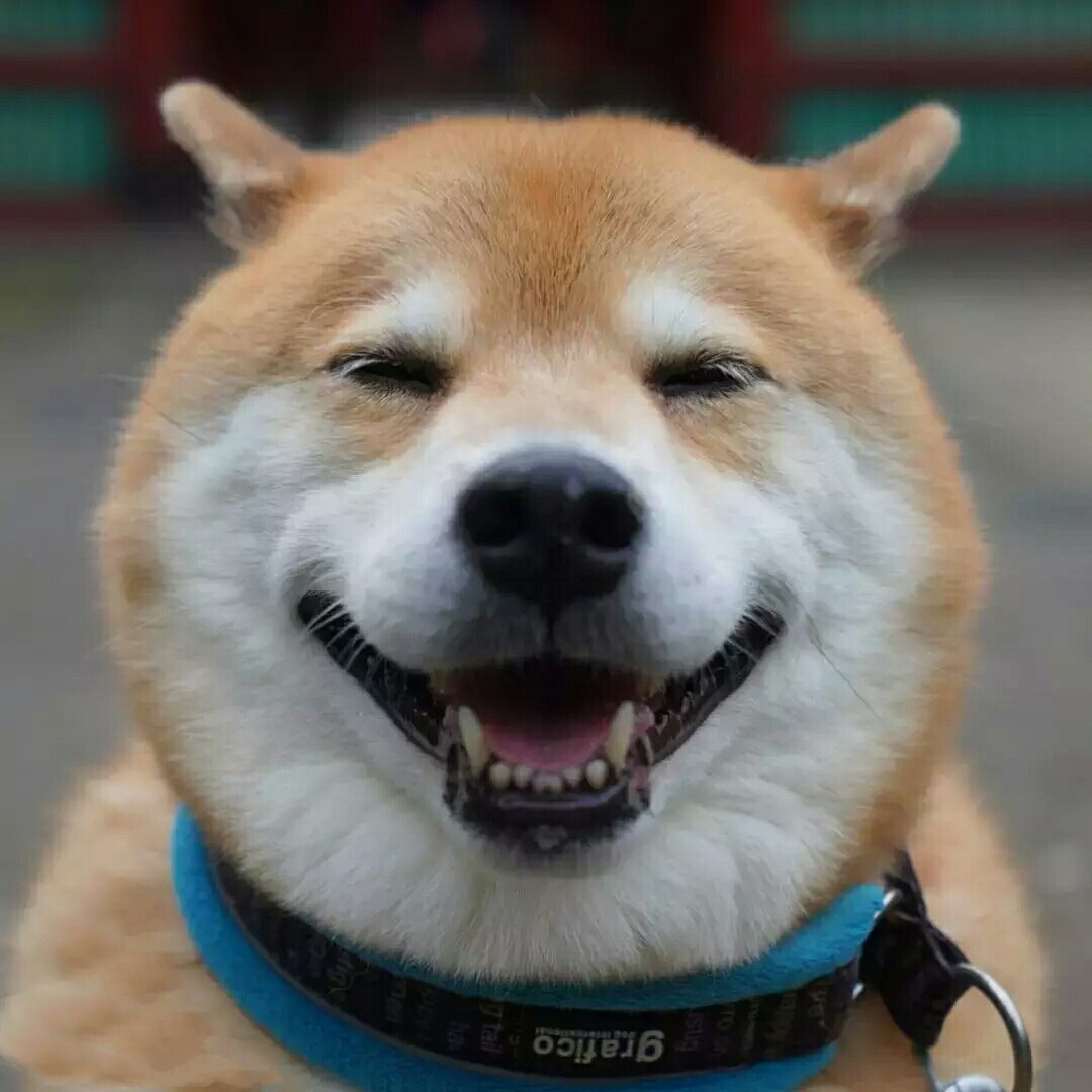空屋子私房